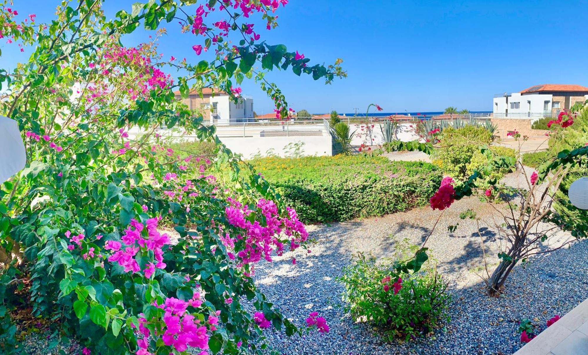 Boho Bay Apartment Akanthou Exterior foto